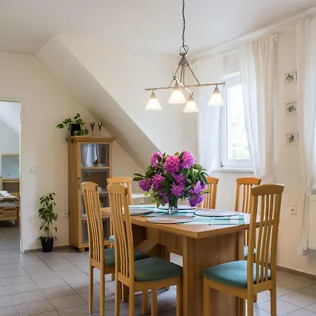 Vila In Near Giant Mountains, Cleaning Included *